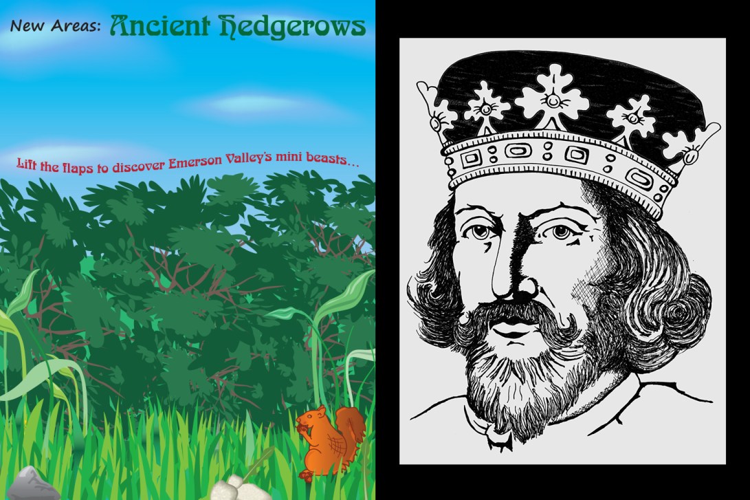 hedge-king-john-drawings